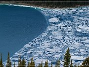 Peyto Lake