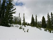 Peyto Lake