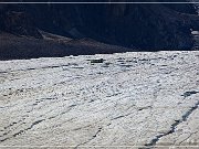 Columbia Icefield