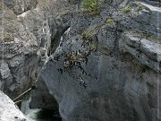 Maligne Canyon