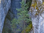 Maligne Canyon