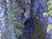 Maligne Canyon