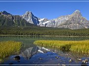 Waterfowl Lakes