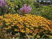 Butchart Gardens