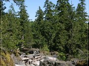 Little Qualicum Falls PP