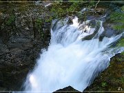 Little Qualicum Falls PP