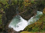 Little Qualicum Falls PP