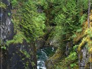 Little Qualicum Falls PP