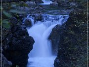 Little Qualicum Falls PP
