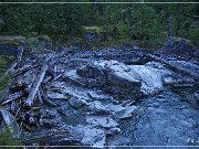 Little Qualicum Falls PP