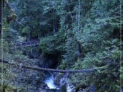 Little Qualicum Falls PP