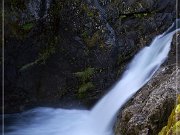 Little Qualicum Falls PP