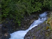 Little Qualicum Falls PP