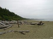 Pacific Rim NP, Long Beach