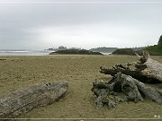 Pacific Rim NP, Long Beach