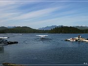 Tofino