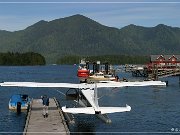 Tofino