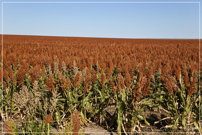 little_jerusalem_badlands_feld_02.jpg