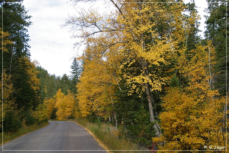 needles_highway_04.jpg