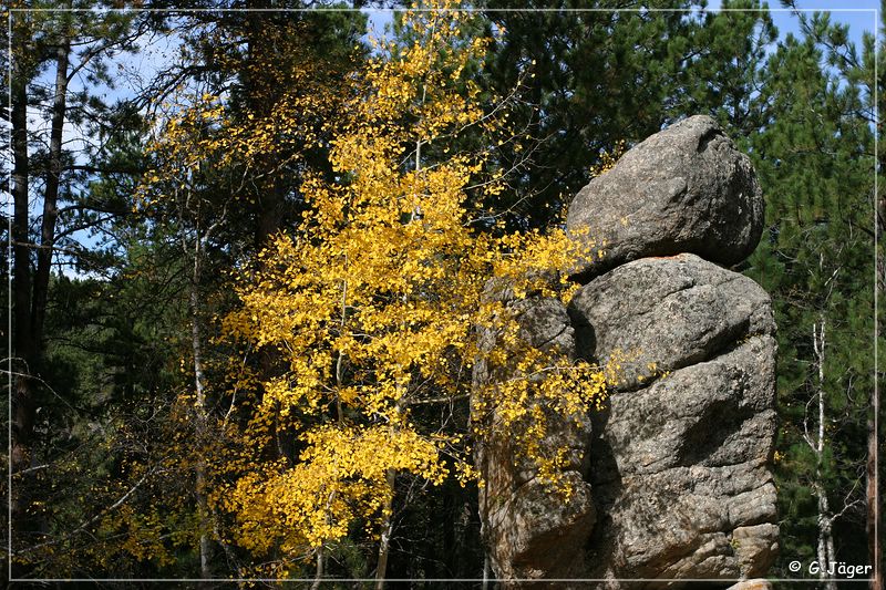 needles_highway_12.jpg