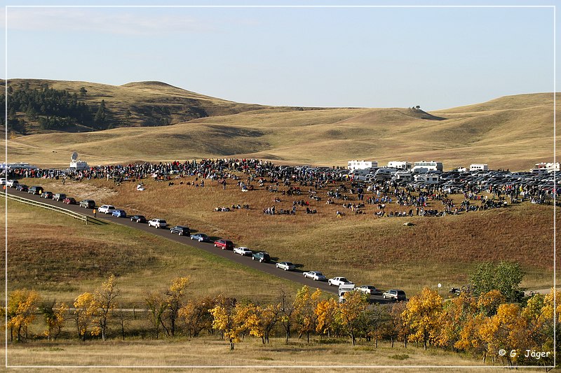 custer_buffalo_roundup_002.jpg