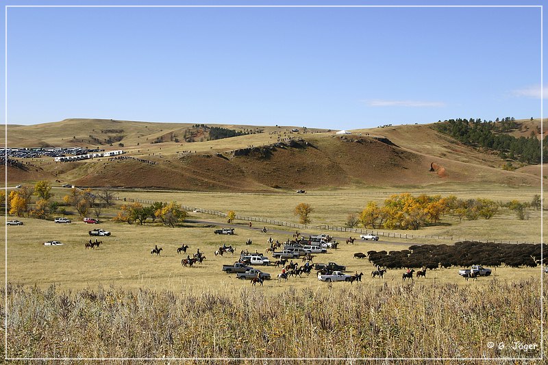 custer_buffalo_roundup_058.jpg