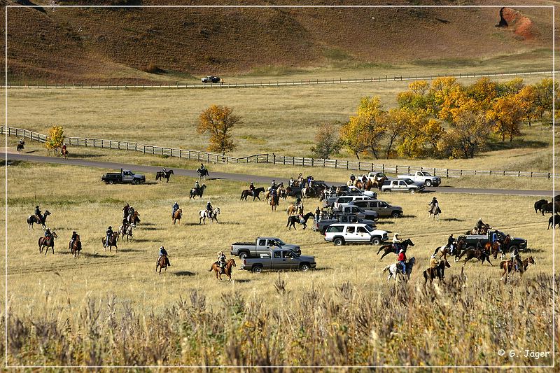 custer_buffalo_roundup_063.jpg