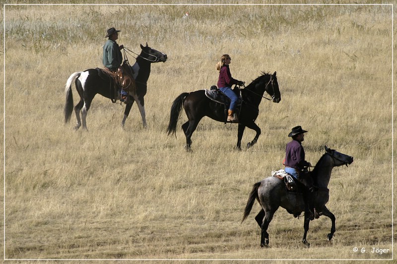 custer_buffalo_roundup_064.jpg