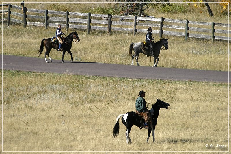 custer_buffalo_roundup_065.jpg