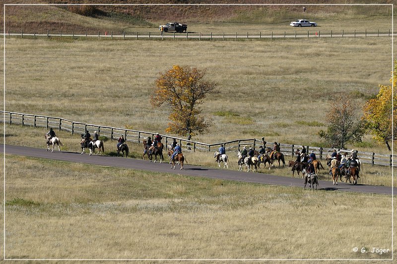 custer_buffalo_roundup_066.jpg