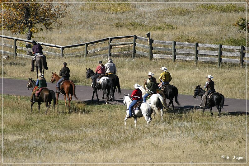 custer_buffalo_roundup_067.jpg