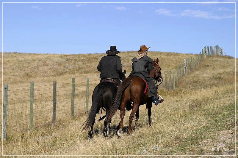 custer_buffalo_roundup_072.jpg