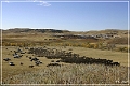 custer_buffalo_roundup_053