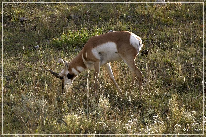 custer_sp_05.jpg