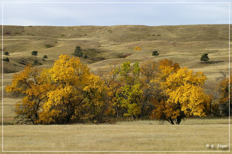 custer_sp_09.jpg