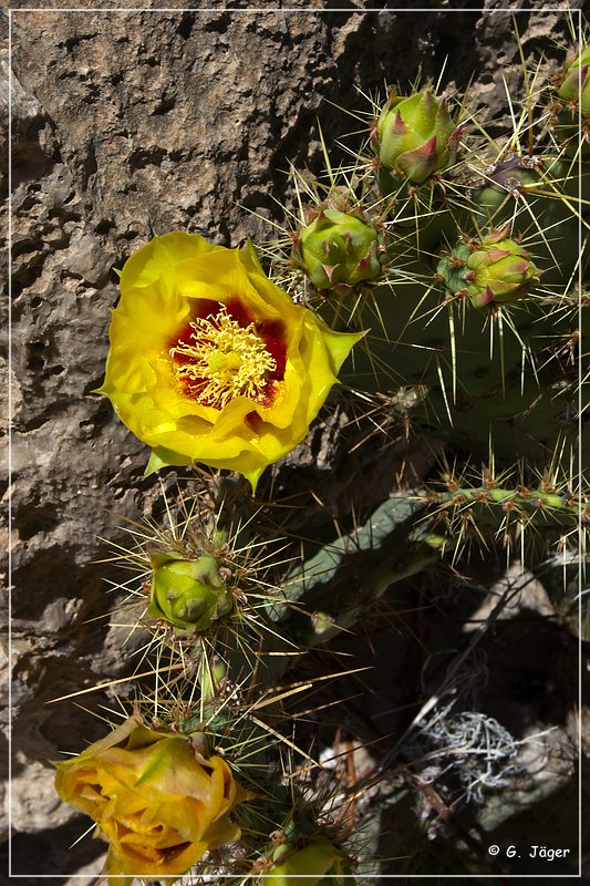 062_boquillas_canyon.jpg