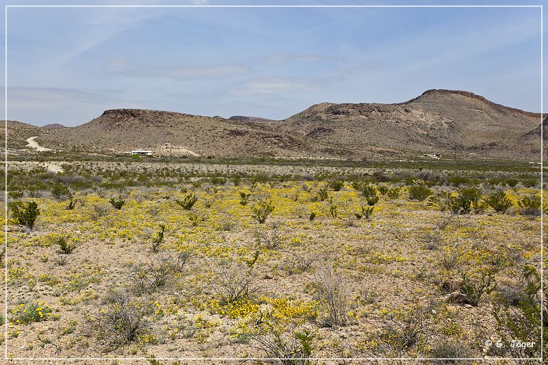 091_big_bend_np.jpg