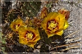 061_boquillas_canyon