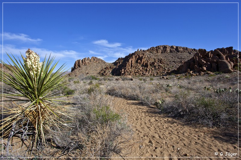 grapevine_hills_trail_083.jpg