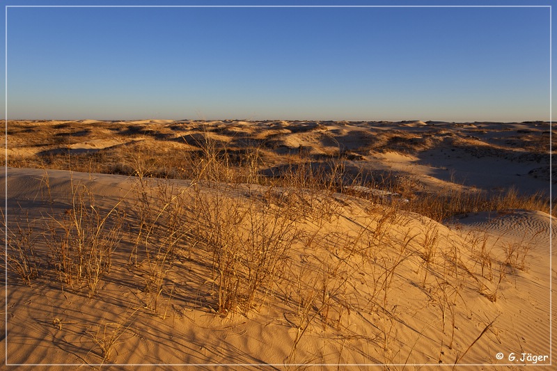 monahan_Sanddunes_sp_02.jpg