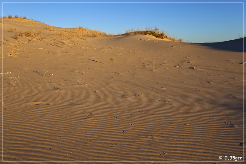 monahan_Sanddunes_sp_12.jpg