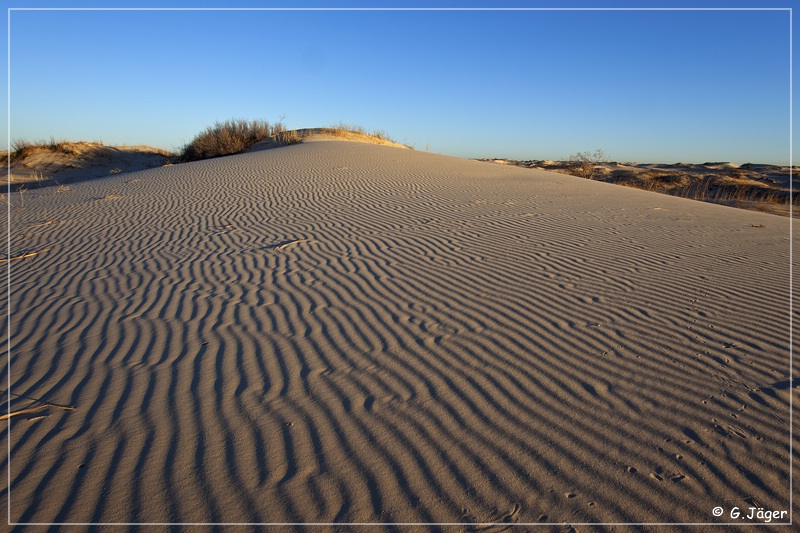 monahan_Sanddunes_sp_16.jpg