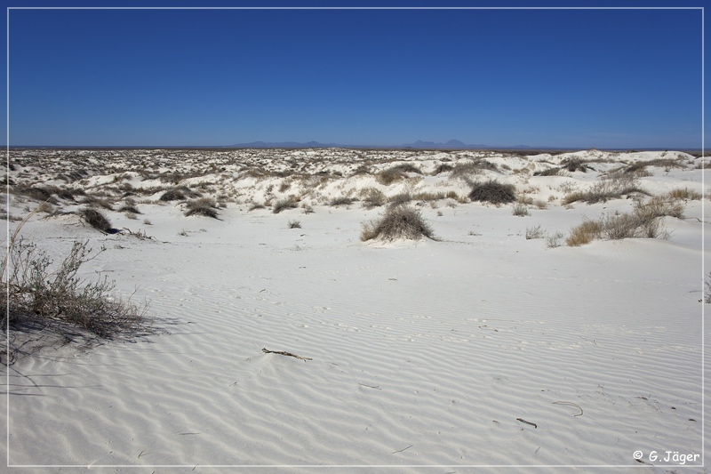 salt_basin_dunes_14.jpg