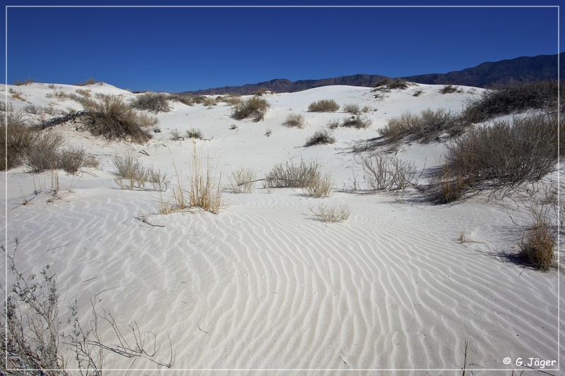 salt_basin_dunes_17.jpg