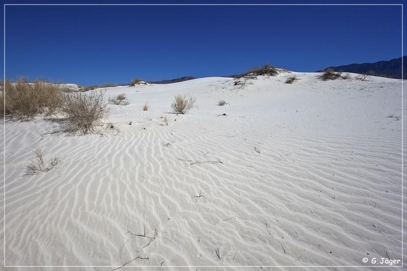 salt_basin_dunes_18.jpg