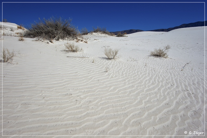 salt_basin_dunes_21.jpg