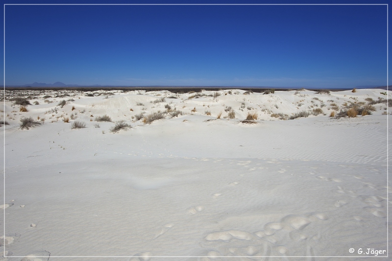 salt_basin_dunes_24.jpg