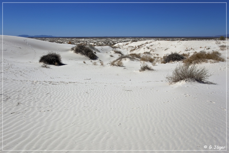 salt_basin_dunes_29.jpg