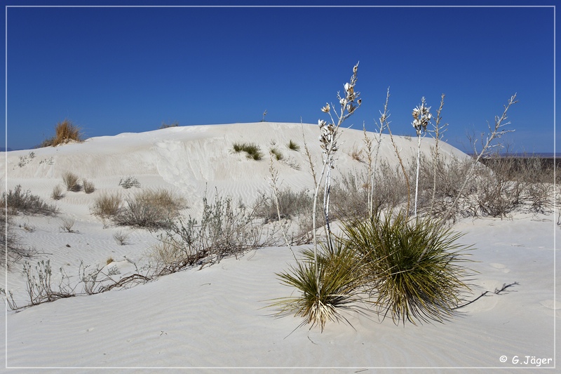 salt_basin_dunes_30.jpg