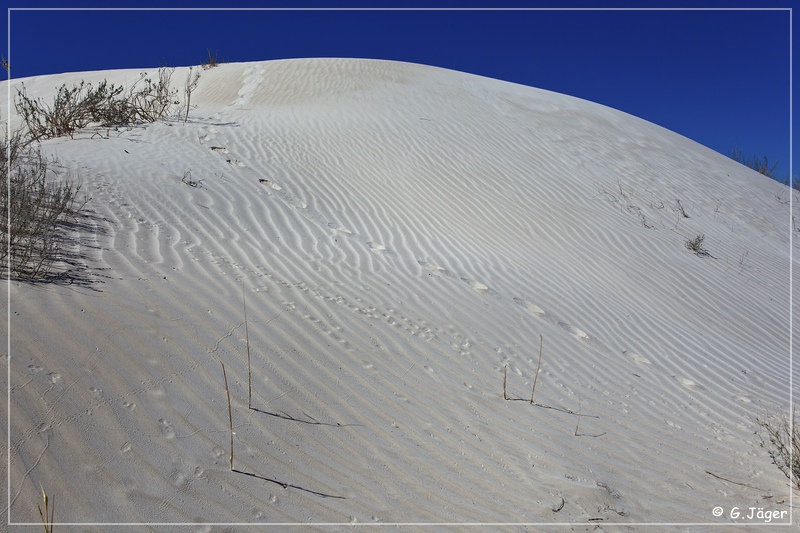 salt_basin_dunes_34.jpg